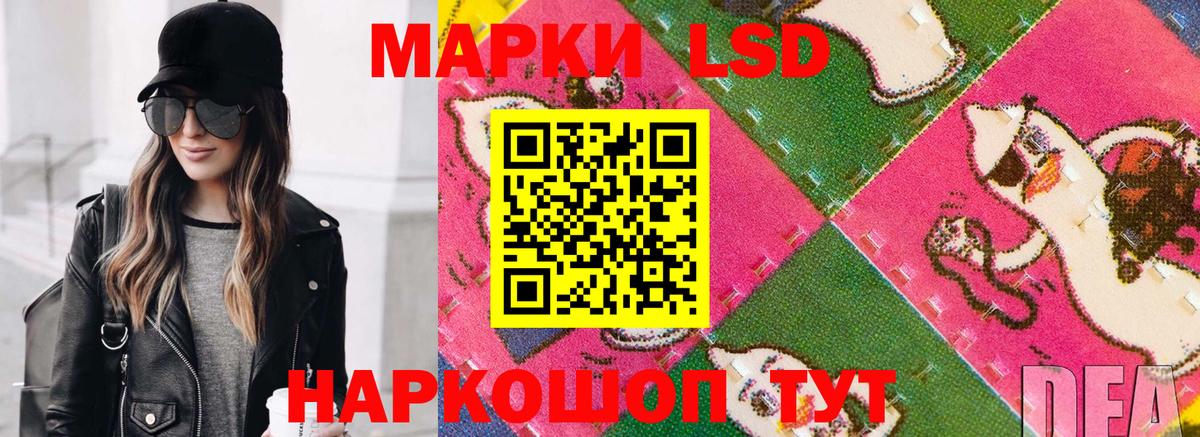 Марки 25I-NBOMe 1,5мг  где купить наркоту  Курчатов  Вход с VPN 