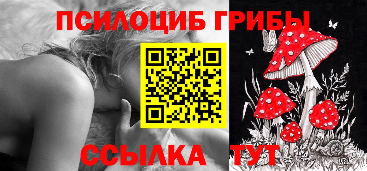 Галлюциногенные грибы ЛСД Курчатов