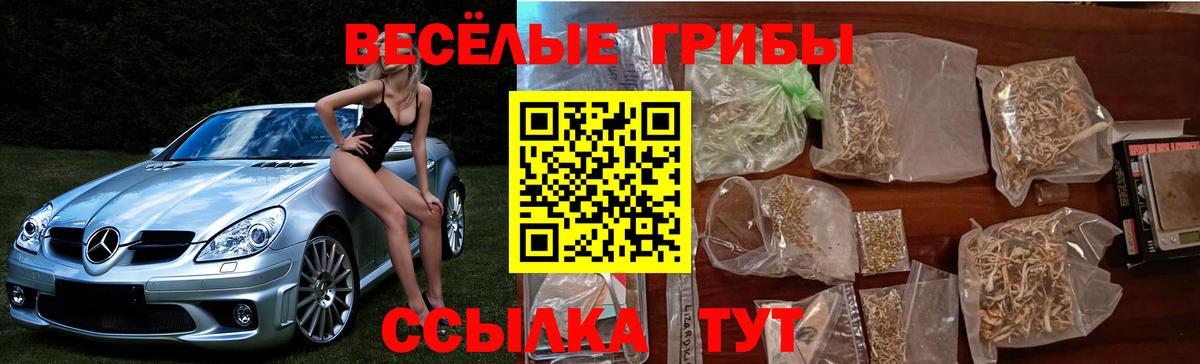 Галлюциногенные грибы мухоморы  Вход с VPN  Курчатов 